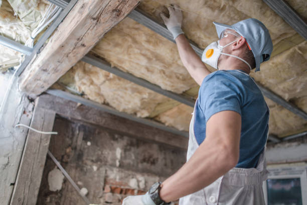 Best Insulation Maintenance and Repair in Jensen Beach, FL